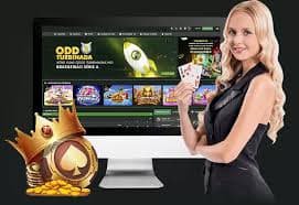 maxwin မိုဘိုင်း App Android iOS ဒေါင်းလုဒ် Myanmar